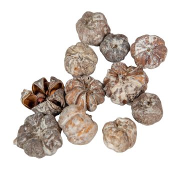 Mini tök termés havas fehér 12dkg/csom