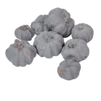 Mini tök termés szürke 12dkg/csom