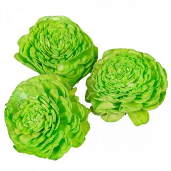 Ming boglárka zöld 6cm 25db-os