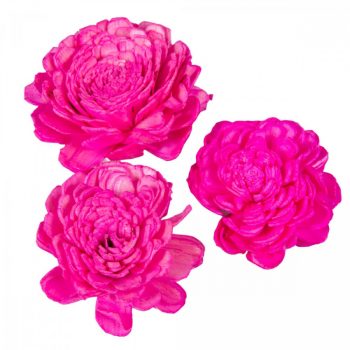 Ming boglárka pink 6cm 25db-os