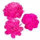 Ming boglárka pink 6cm 25db-os