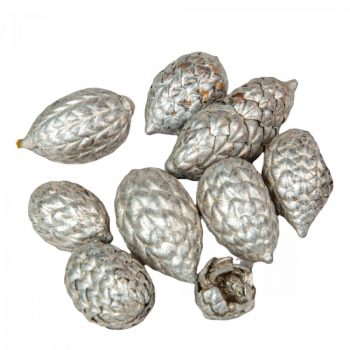 Cane fruit pálma mag metál pezsgő 13dkg/csomag