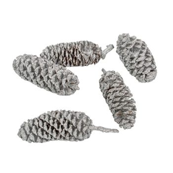 Birch pine szárított metál ezüst 15dkg/csom