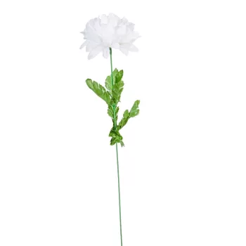   Krizantém szálas 50cm fehér 3 darabos csomagban rendelhető