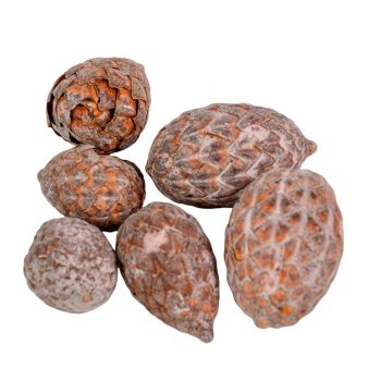 Cane fruit pálma mag falfestékes old pink 17dkg/csom