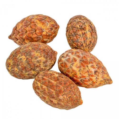 Cane fruit pálma mag narancs 17dkg/csomag