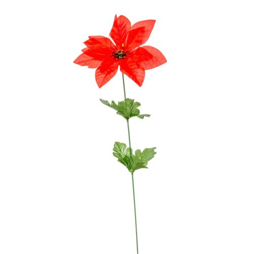 Mikulásvirág szálas M48cm