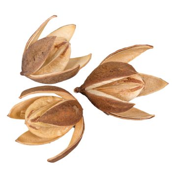 Wild lili szárított natúr 9db/csom