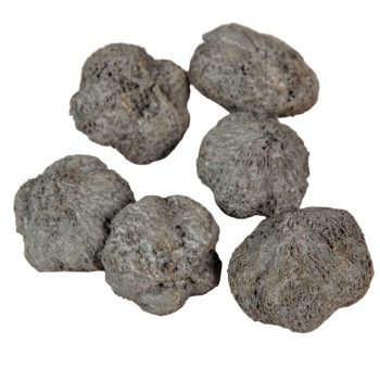 Fokhagyma termés szárított szürke 16dkg/csom