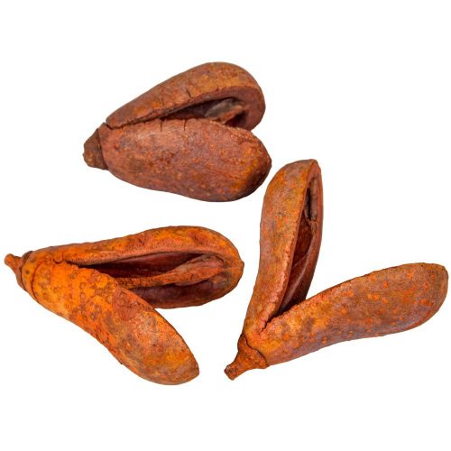 Mike szárított terrakotta 22dkg/csom