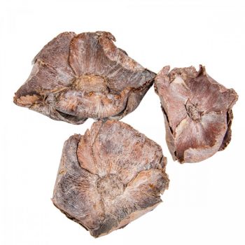 Pálma virág cap szárított havas fehér 10db-os