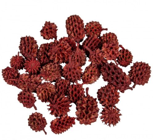 Casuarina piros 25dkg/csomag