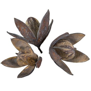 Wild lili száritott havas szürke 11db/csomag