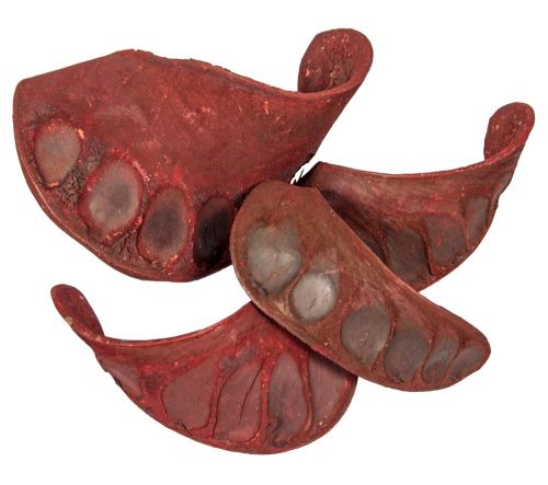 Elefánt fül szárított bordó 25dkg/csom