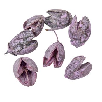 Bakuli szárított mauve 20dkg/csom