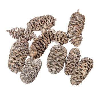 Birch pine szárított falfestékes fehér 18dkg/csom