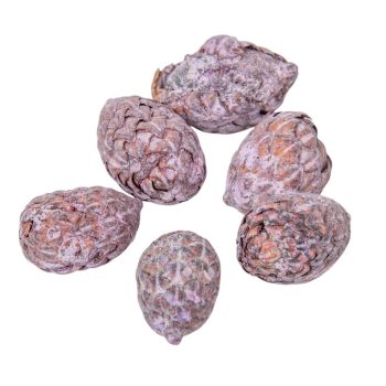 Cane bogyós termés falfestékes mauve 15dkg/csom