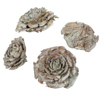 Cédrus rózsa falfestékes mud zöld 17dkg/csom