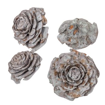 Cédrus rózsa zuzmarás szürke 5-7cm 17dkg/csom