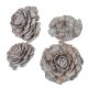 Cédrus rózsa zuzmarás szürke 5-7cm 17dkg/csom