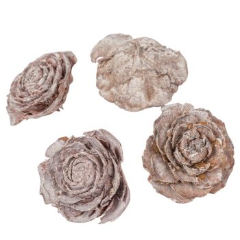 Cédrus rózsa zuzmarás fehér 5-7cm 17dkg/csom