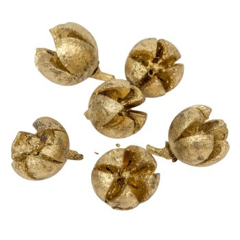 Chiruni szárított termés világos arany 17dkg/csom