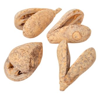 Mike szárított falfestékes salmon 22 dkg/csom