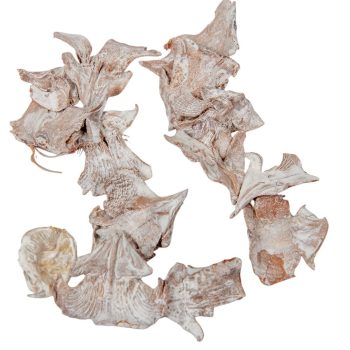 Cédrus rózsa szirom havas fehér 30dkg/csom