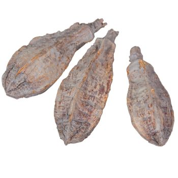 Mehogany szárított szürke 16db-os csomag