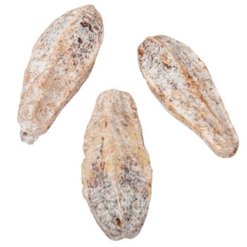 Mehogany szárított havas fehér 14db-os