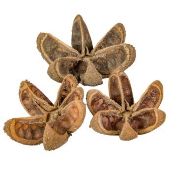 Vad narancs szárított natúr 14db-os