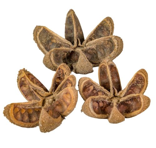 Vad narancs szárított natúr 14db-os