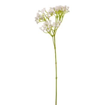 Rezgő ág 48cm 2 darabos csomagban rendelhető (darab ár!)