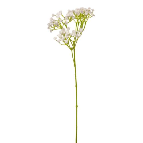 Rezgő ág 48cm 2 darabos csomagban rendelhető (darab ár!)