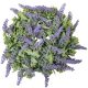 Levendula koszorú D30cm 18db/#