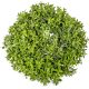 Buxus alap zöld D34cm