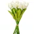 Tulipán köteg gumi 10v. krém M32cm 24db/#