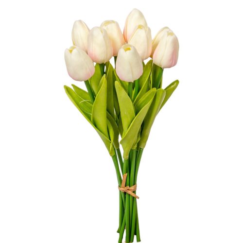 Tulipán köteg gumi 10v. krém-rózsaszín M33cm 24db/#
