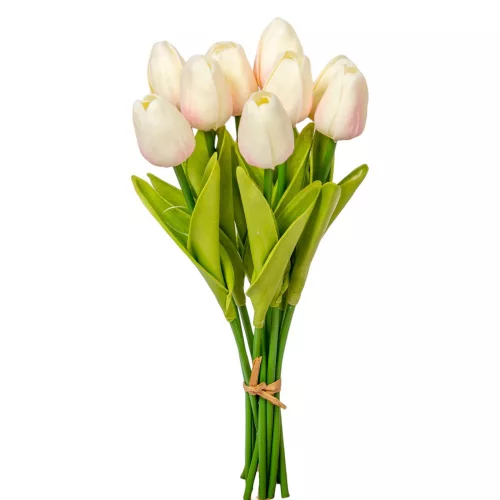 Tulipán köteg gumi 10v. krém-rózsaszín M33cm 24db/#