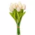Tulipán köteg gumi 10v. krém-rózsaszín M33cm 24db/#