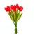 Tulipán köteg gumi 10v. piros  M33cm 24db/#