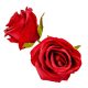Rózsa virágfej piros D7cm 24db/csom