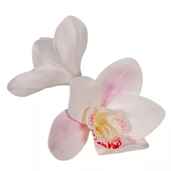 Orchidea virágfej polifoam D10cm CRPK 24db/csom