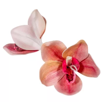 Orchidea virágfej polifoam D10cm MAU 24db/csom