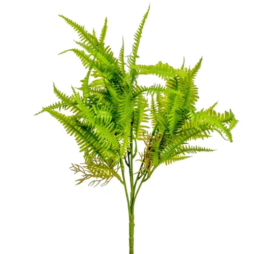 Páfrány bokor 5ágú M42cm