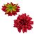 Dália virágfej bordó D11cm 24db/csom