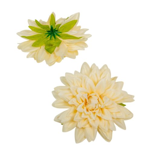 Dália virágfej barack D11cm 24db/csom