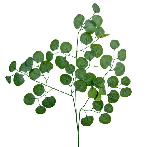Eukaliptusz leveles ág M70cm