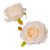 Rózsa virágfej ivory D7cm 24db/csom
