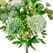 Dália csokor 7v. M45cm 24db/#